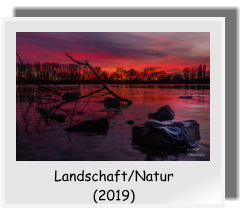 Landschaft/Natur  (2019)