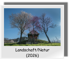 Landschaft/Natur  (2026)